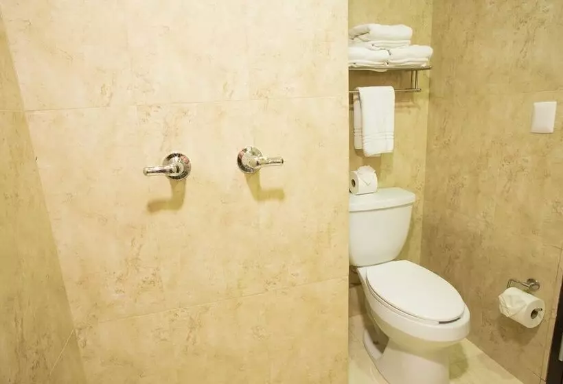 Fotos del hotel Plaza Calzada:  16