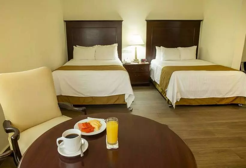 Fotos del hotel Plaza Calzada:  20