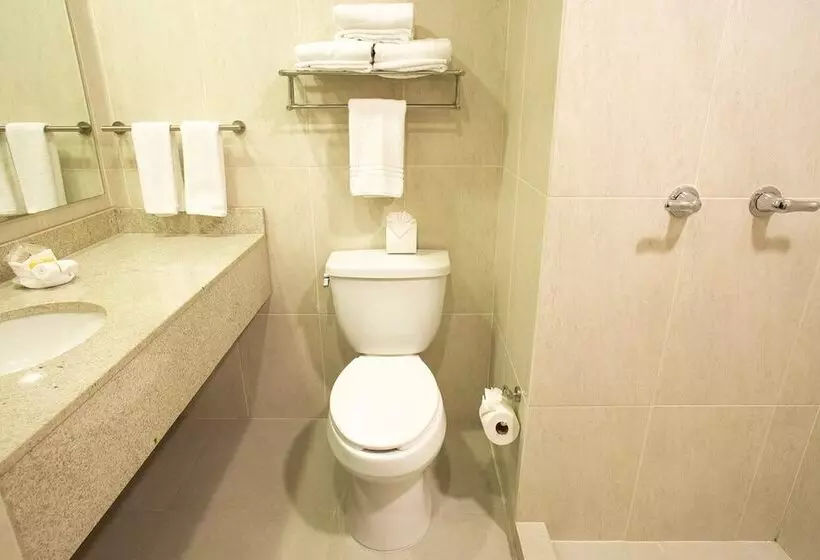 Fotos del hotel Plaza Calzada:  23