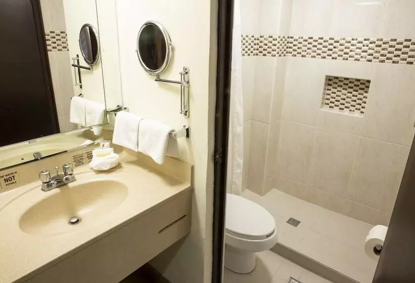 Fotos del hotel Plaza Calzada:  27
