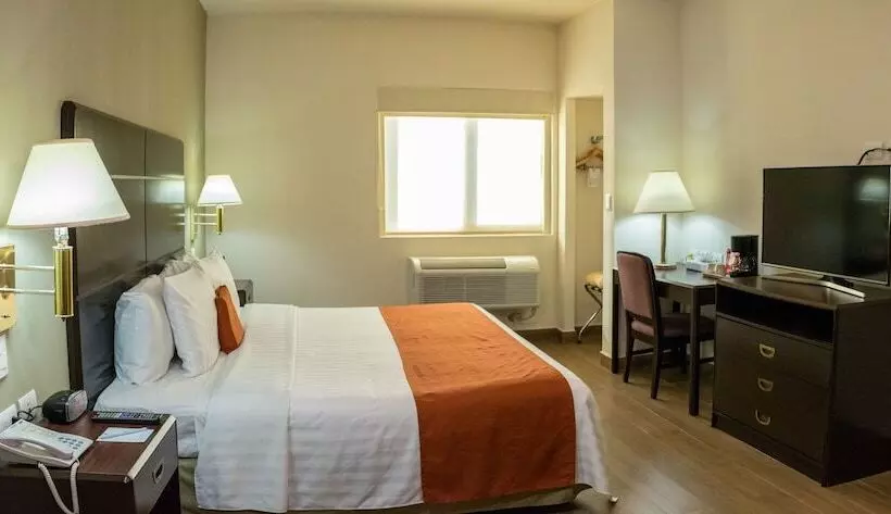 Fotos del hotel Plaza Calzada:  33