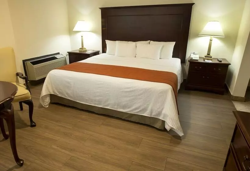 Fotos del hotel Plaza Calzada:  35