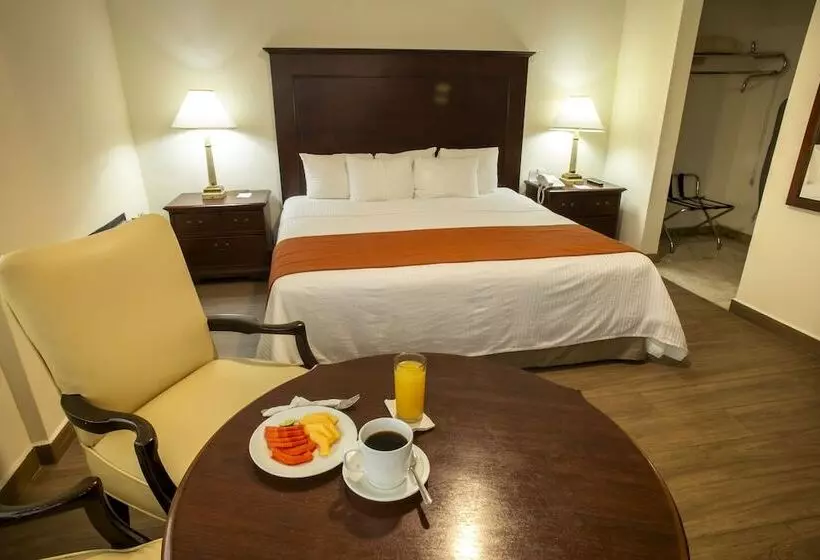 Fotos del hotel Plaza Calzada:  36