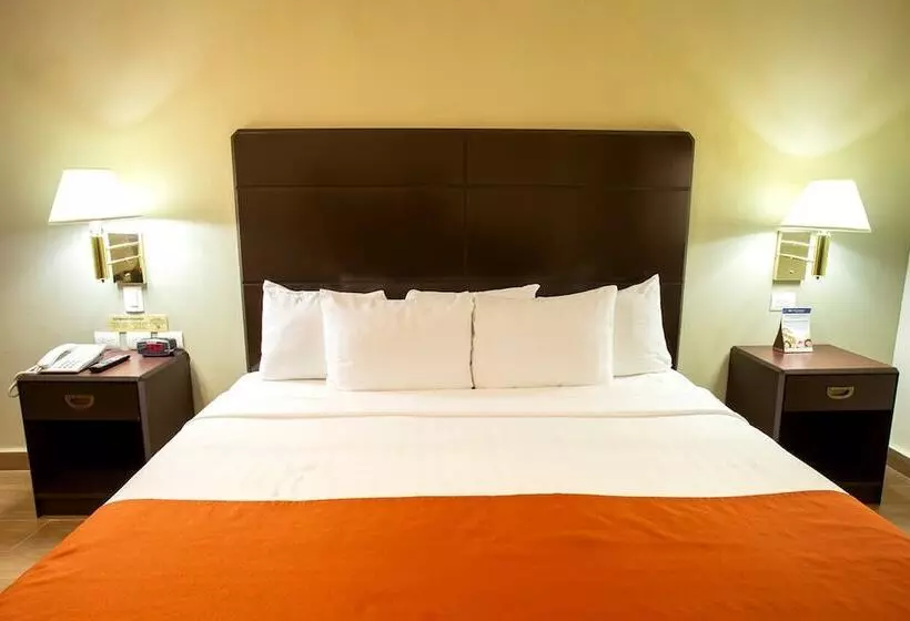 Fotos del hotel Plaza Calzada:  40