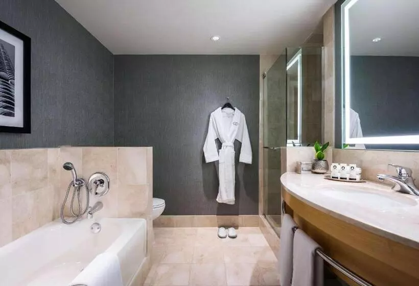 Fotos del hotel Sofitel Chicago Magnificent Mile:  5