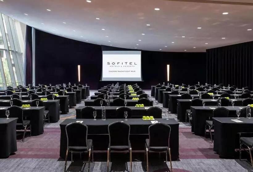 Fotos del hotel Sofitel Chicago Magnificent Mile:  13