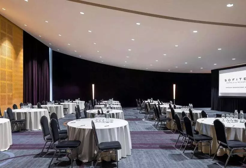 Fotos del hotel Sofitel Chicago Magnificent Mile:  24