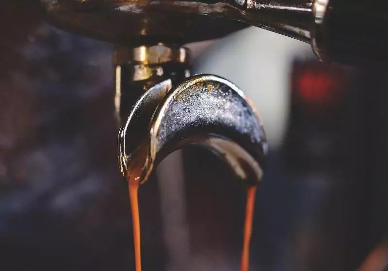 Fotos del hotel The 1852 Hotel - Smartphone Check-in:  13