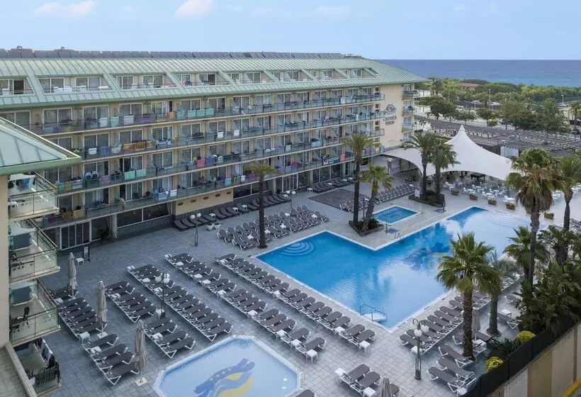 Fotos del hotel Alegria Caprici Verd:  21