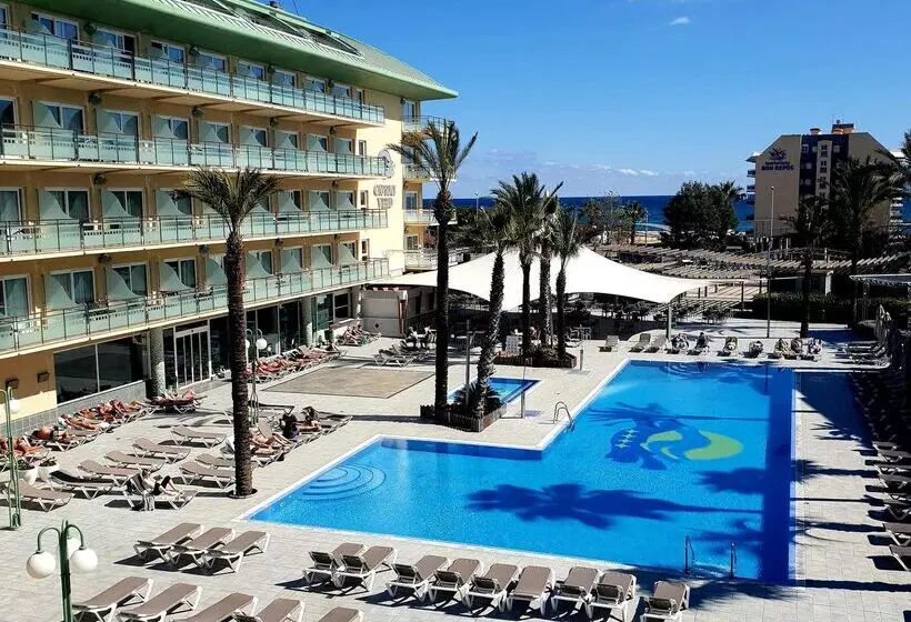 Alegria Caprici Verd