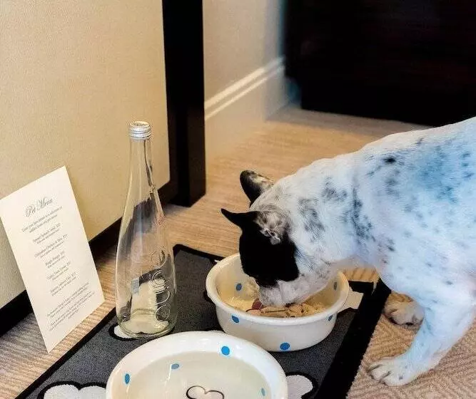 Fotos del hotel The Peninsula Chicago:  8