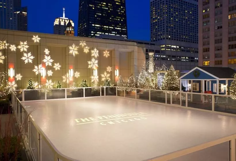 Fotos del hotel The Peninsula Chicago:  25