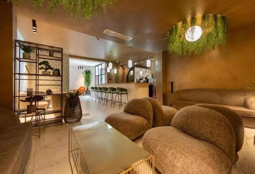 Fotos del hotel King Solomon:  25