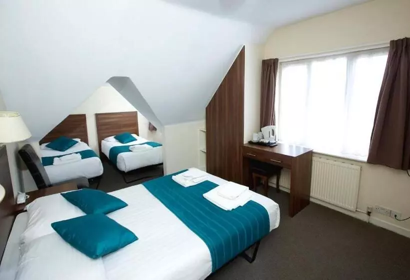 Fotos del hotel King Solomon:  10