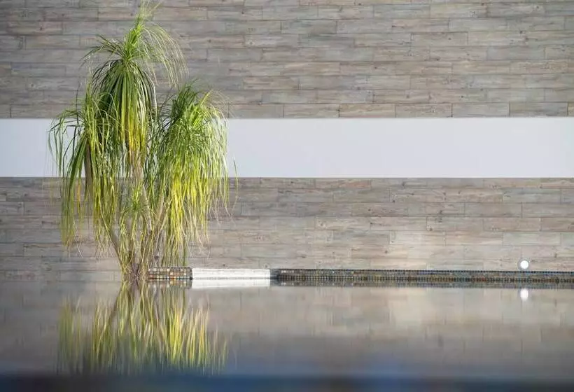 Fotos del hotel Alto Lido:  18