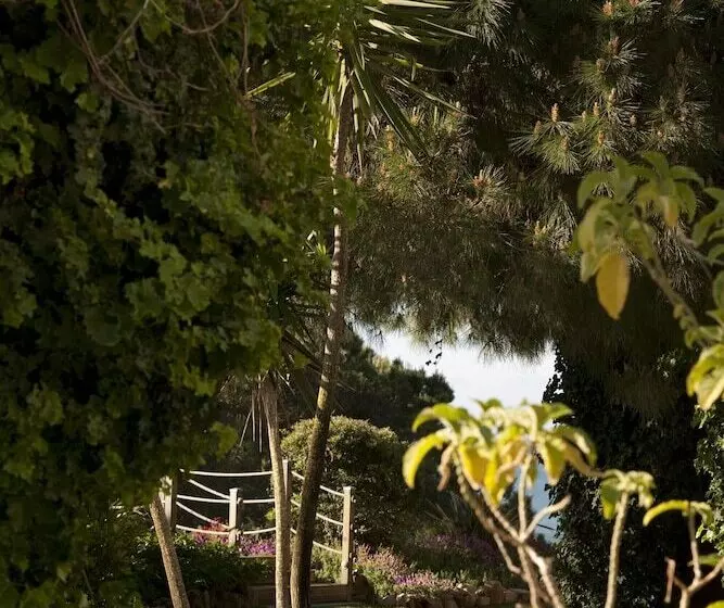 Fotos del hotel Portobay Falesia:  25