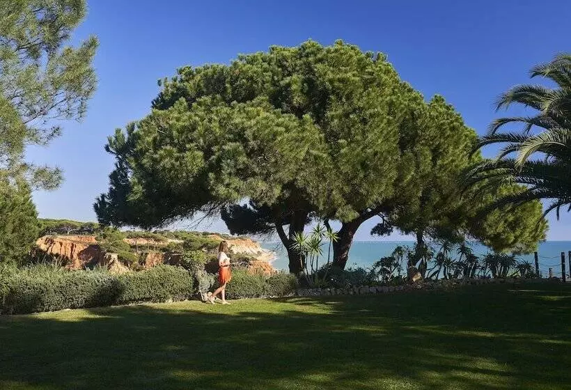 Fotos del hotel Portobay Falesia:  23