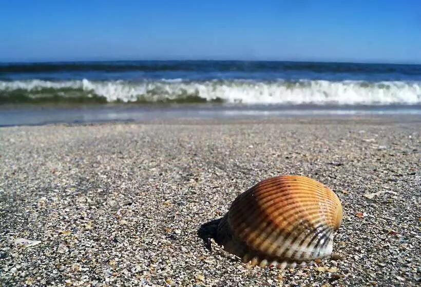 Fotos del hotel Iaki Conference & Spa:  4