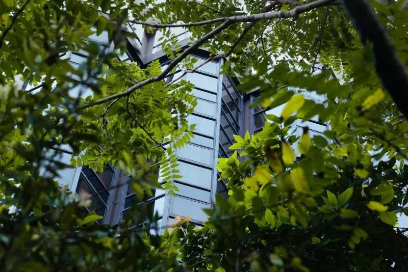 Fotos del hotel Primacy Apart:  18