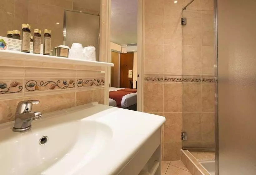 Fotos del hotel Terminus Lyon:  13