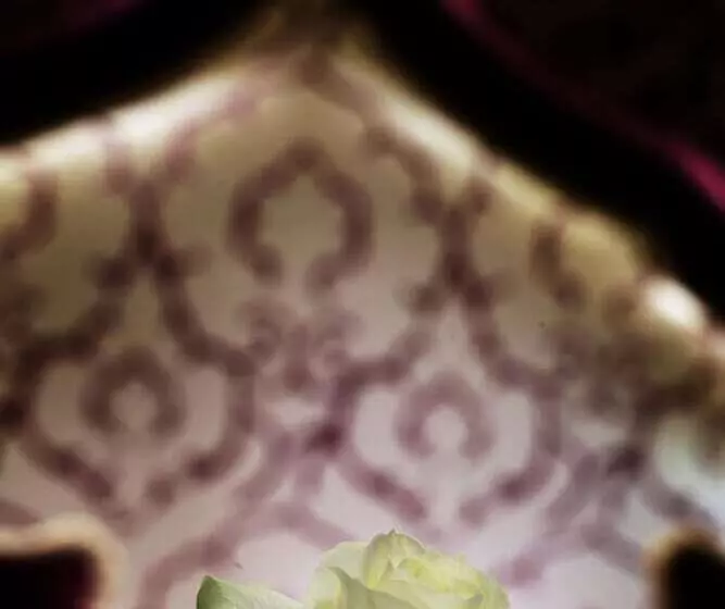 Fotos del hotel Ai Mori D'Oriente:  7