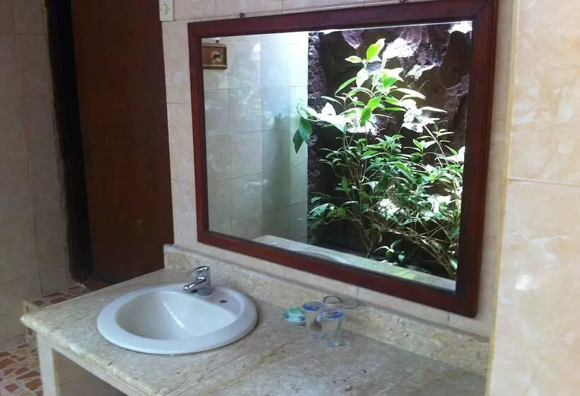 Fotos del hotel Gili Air:  9