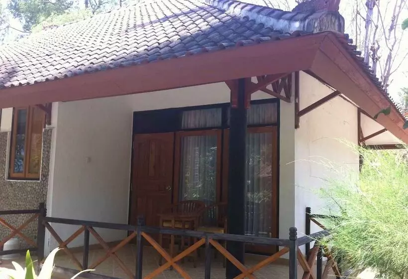 Fotos del hotel Gili Air:  16