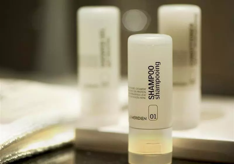 Fotos del hotel Le Royal Meridien Abu Dhabi:  8