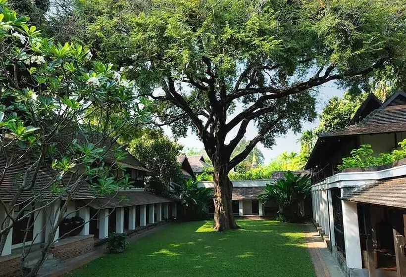 Fotos del hotel Tamarind Village:  14