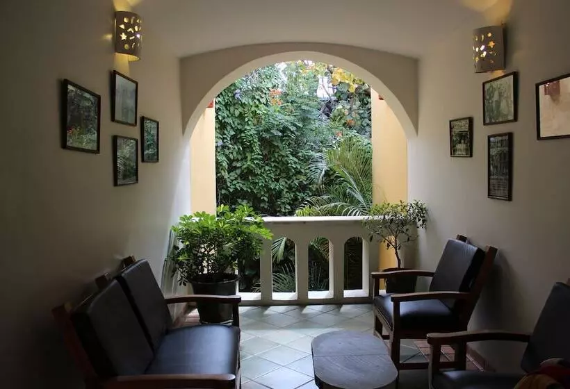 Fotos del hotel Casa Conzatti:  18