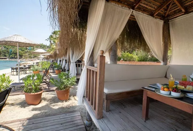 Fotos del hotel Pine Bay Holiday Resort:  9