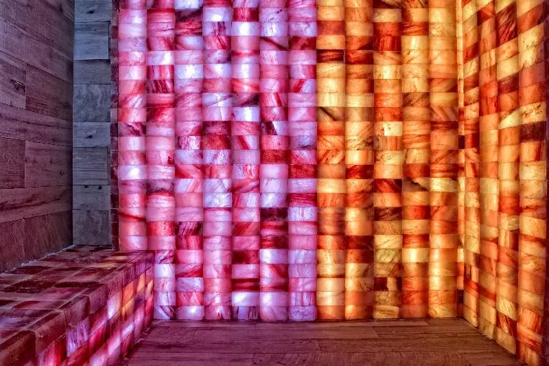 Fotos del hotel Sallés  Pere Iv:  10