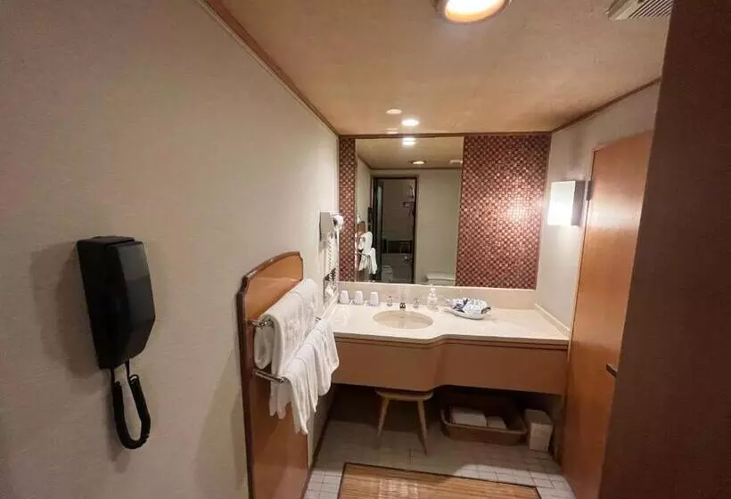 Fotos del hotel Jasmac Plaza:  16