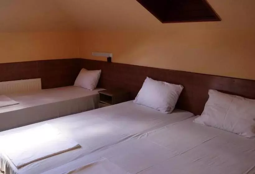 Fotos del hotel Attila:  4