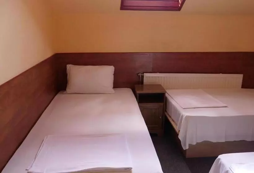 Fotos del hotel Attila:  14