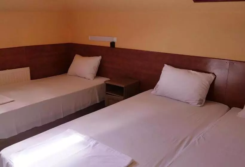 Fotos del hotel Attila:  13