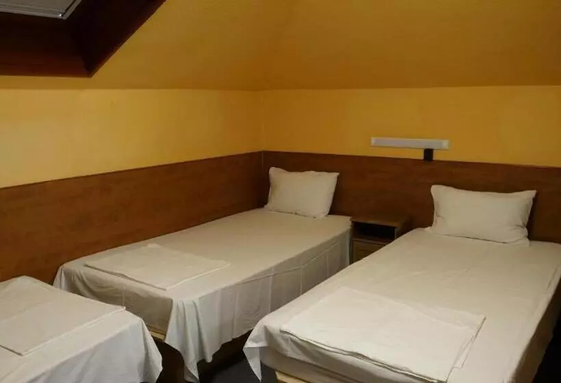 Fotos del hotel Attila:  12