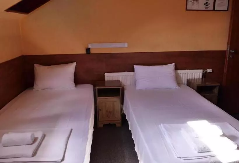 Fotos del hotel Attila:  9