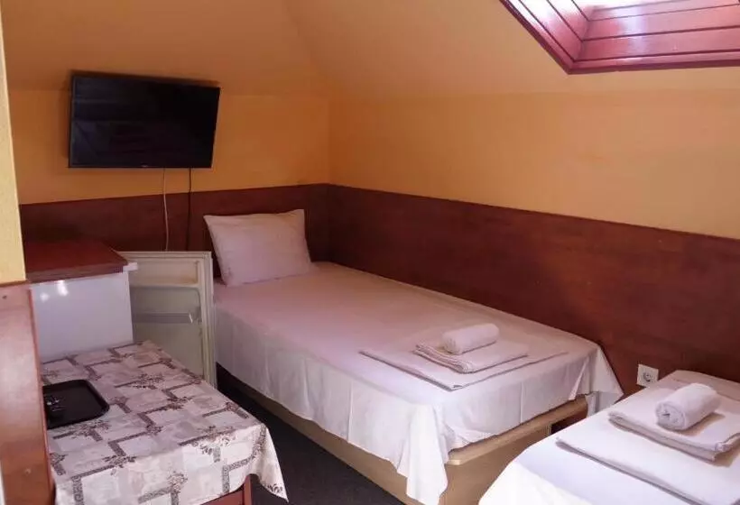 Fotos del hotel Attila:  11