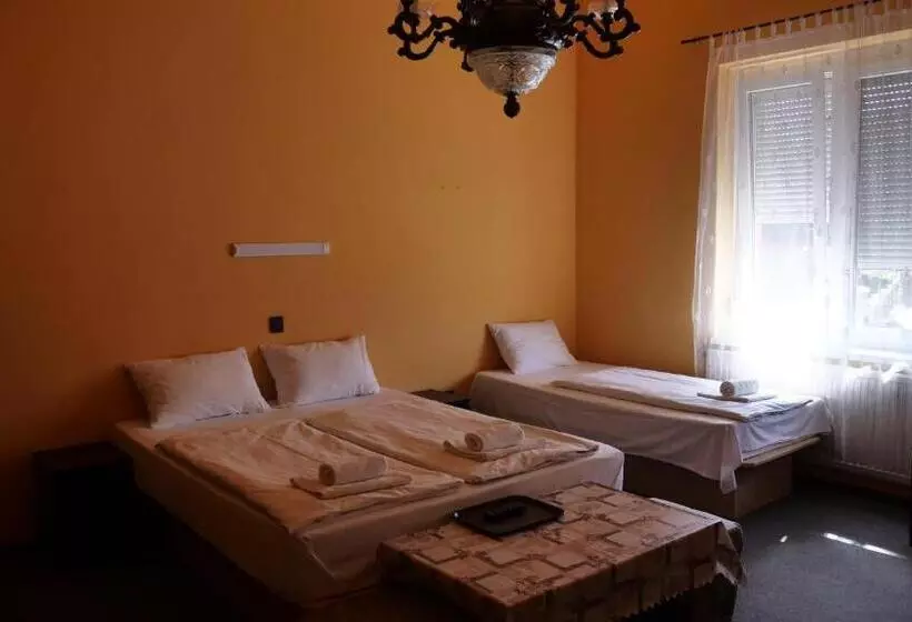 Fotos del hotel Attila:  3