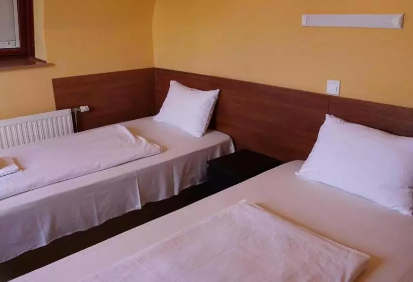 Fotos del hotel Attila:  6