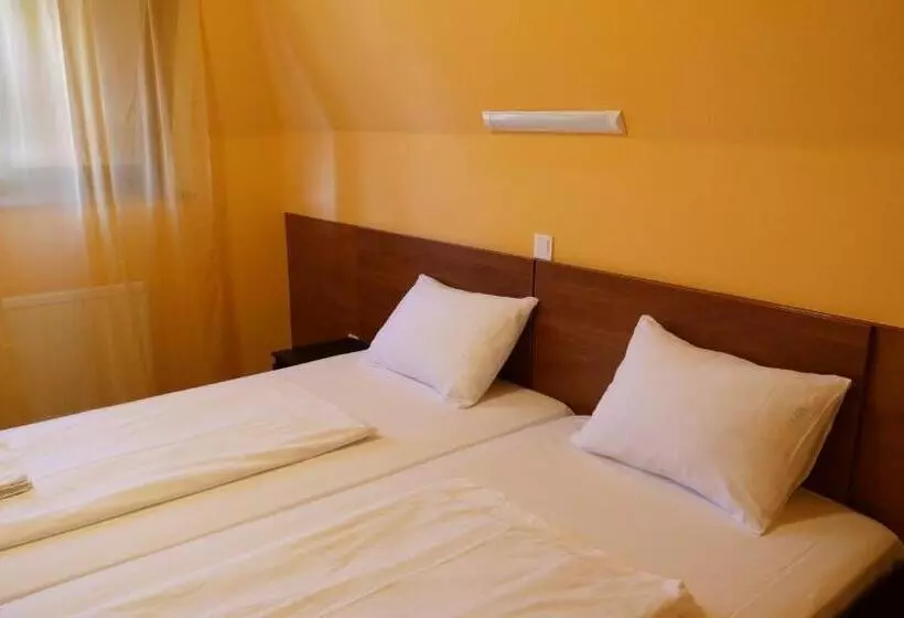 Fotos del hotel Attila:  7