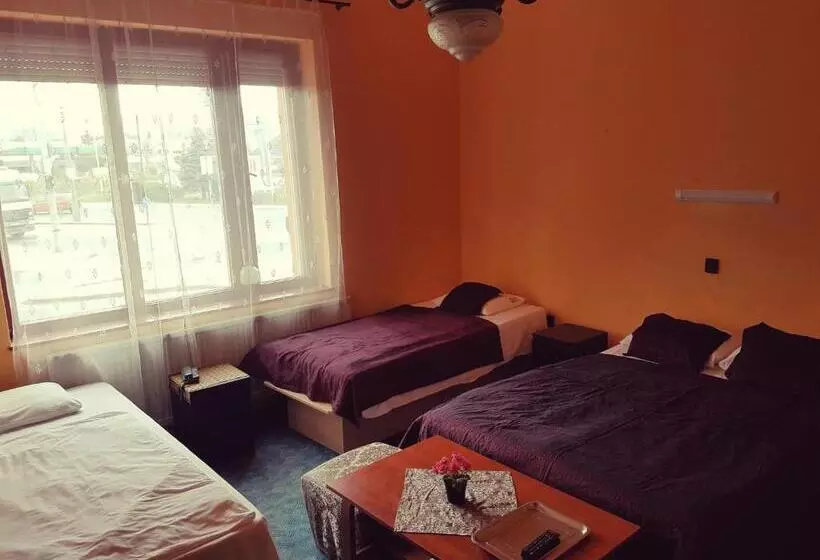 Fotos del hotel Attila:  22