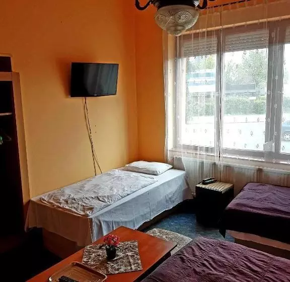 Fotos del hotel Attila:  15