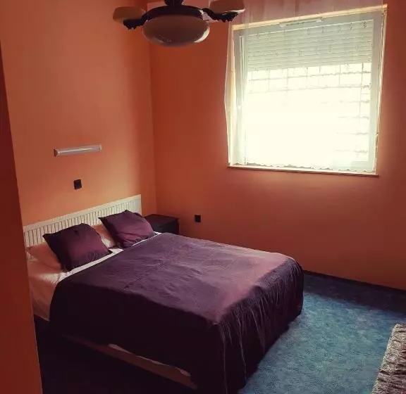 Fotos del hotel Attila:  5