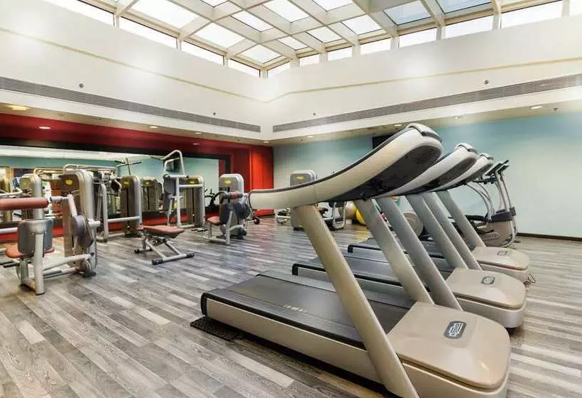 Fotos del hotel Hilton Alexandria Green Plaza:  3