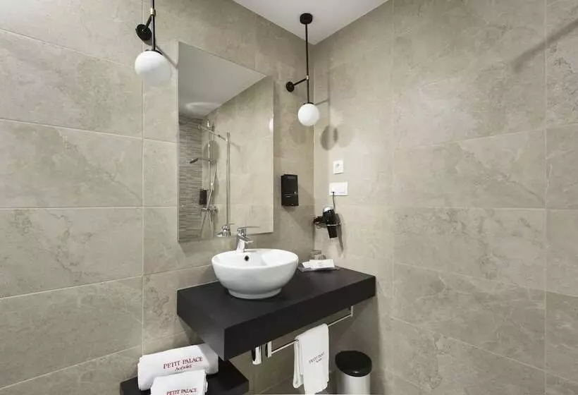 Fotos del hotel Petit Palace Triball:  24