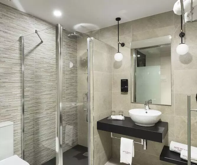 Fotos del hotel Petit Palace Triball:  13