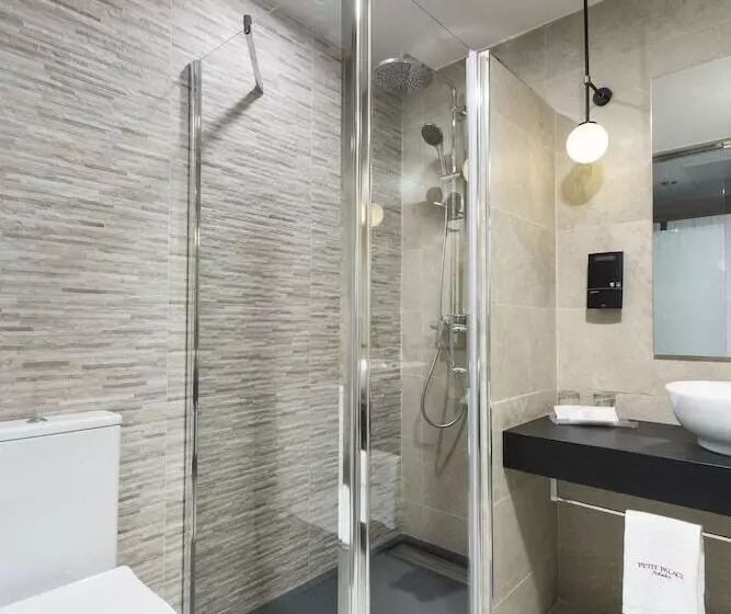 Fotos del hotel Petit Palace Triball:  25