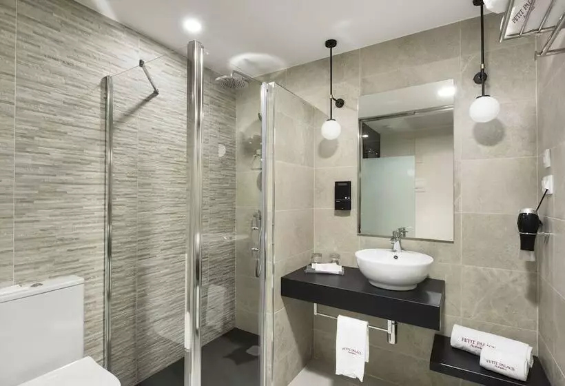 Fotos del hotel Petit Palace Triball:  9